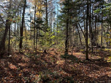 Mr5 L24 Sawyers Mills Road Starks ME 04911