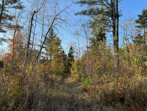 Mr5 L24 Sawyers Mills Road Starks ME 04911