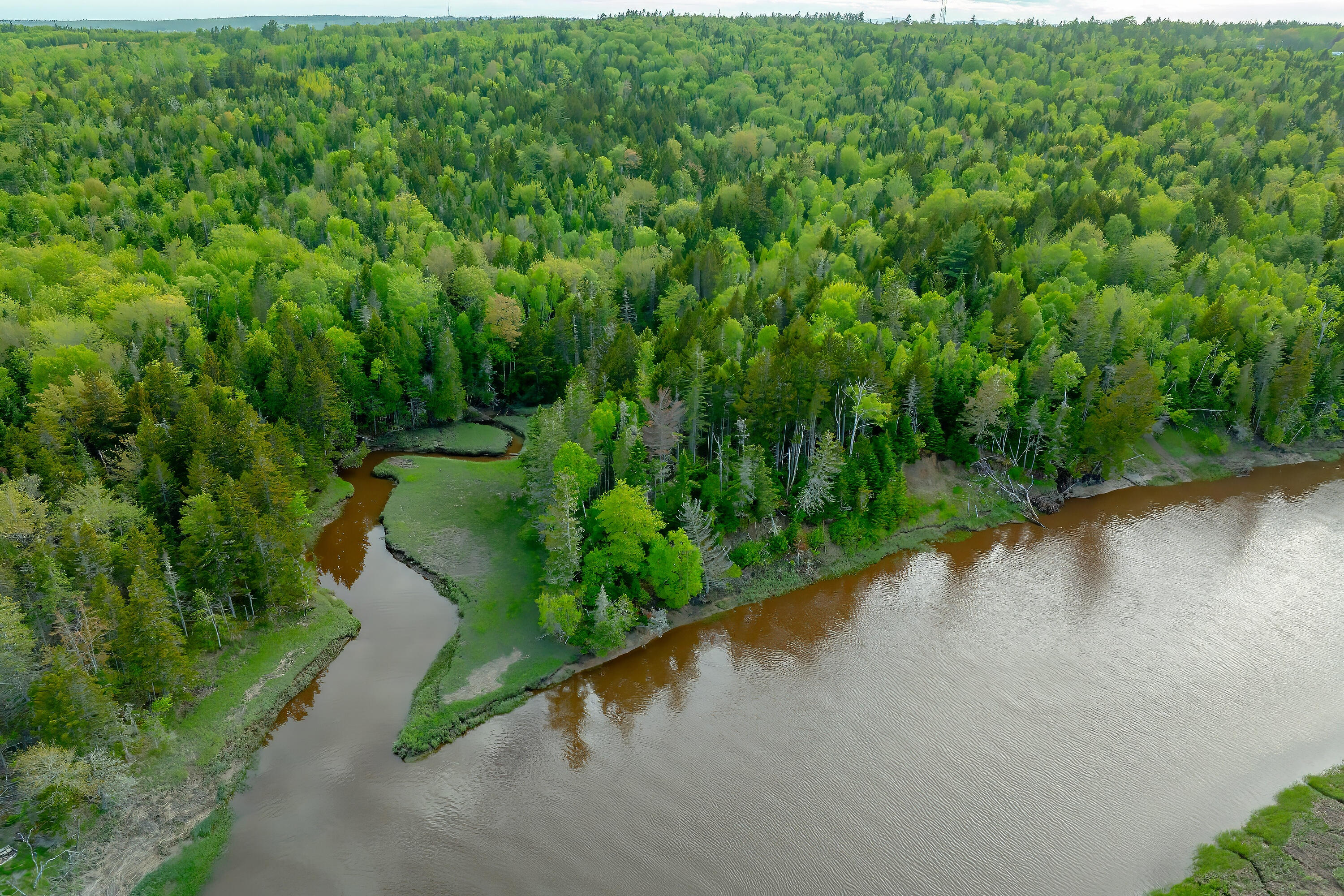 126 Point Street Columbia Falls ME 04623