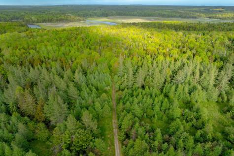 126 Point Street Columbia Falls ME 04623