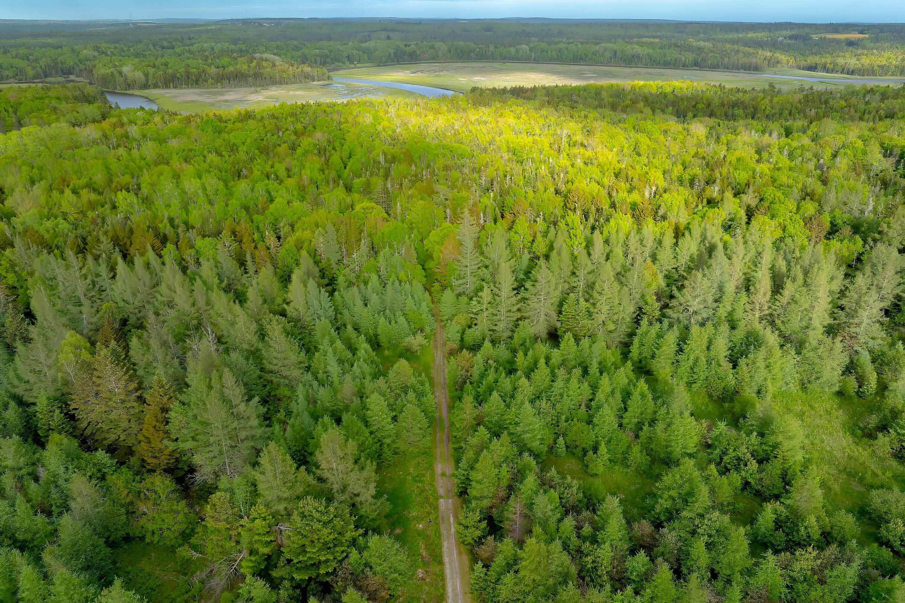 126 Point Street Columbia Falls ME 04623