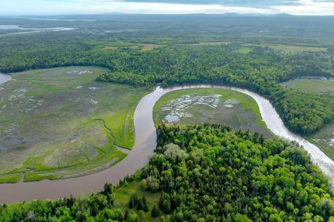 126 Point Street Columbia Falls ME 04623