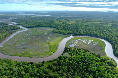 126 Point Street Columbia Falls ME 04623