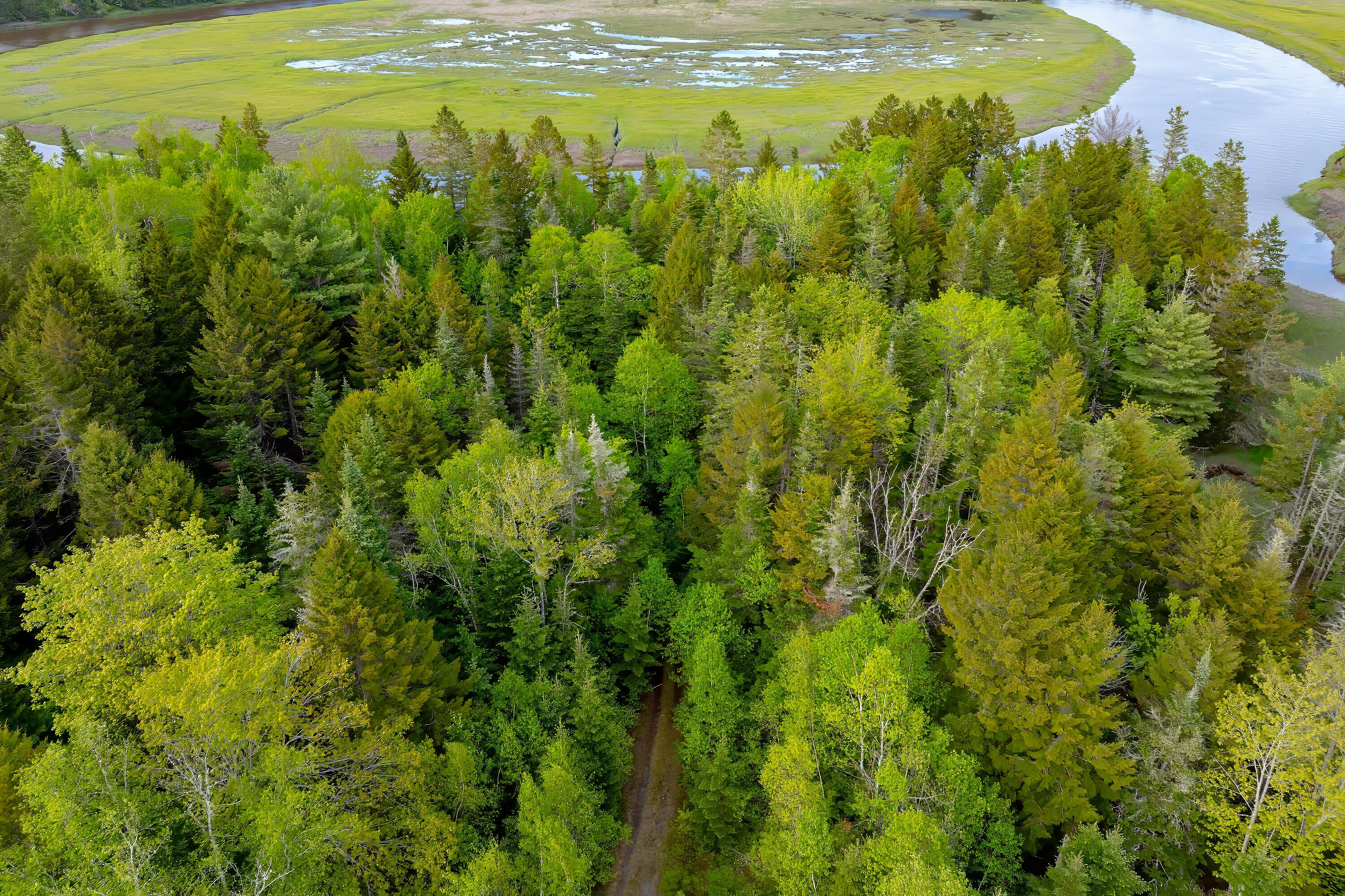 126 Point Street Columbia Falls ME 04623