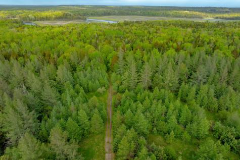 126 Point Street Columbia Falls ME 04623