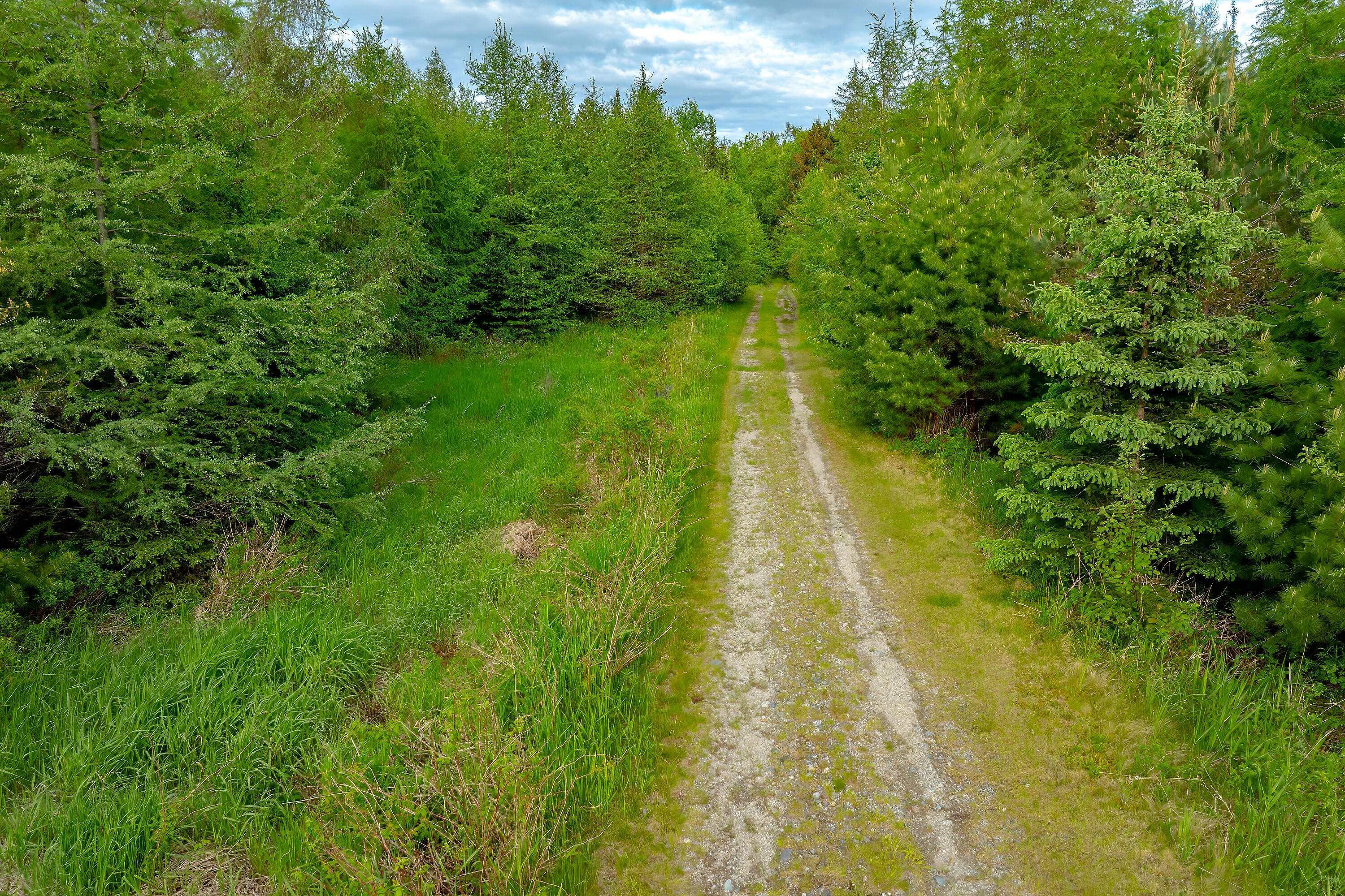 126 Point Street Columbia Falls ME 04623