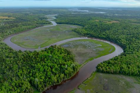 126 Point Street Columbia Falls ME 04623