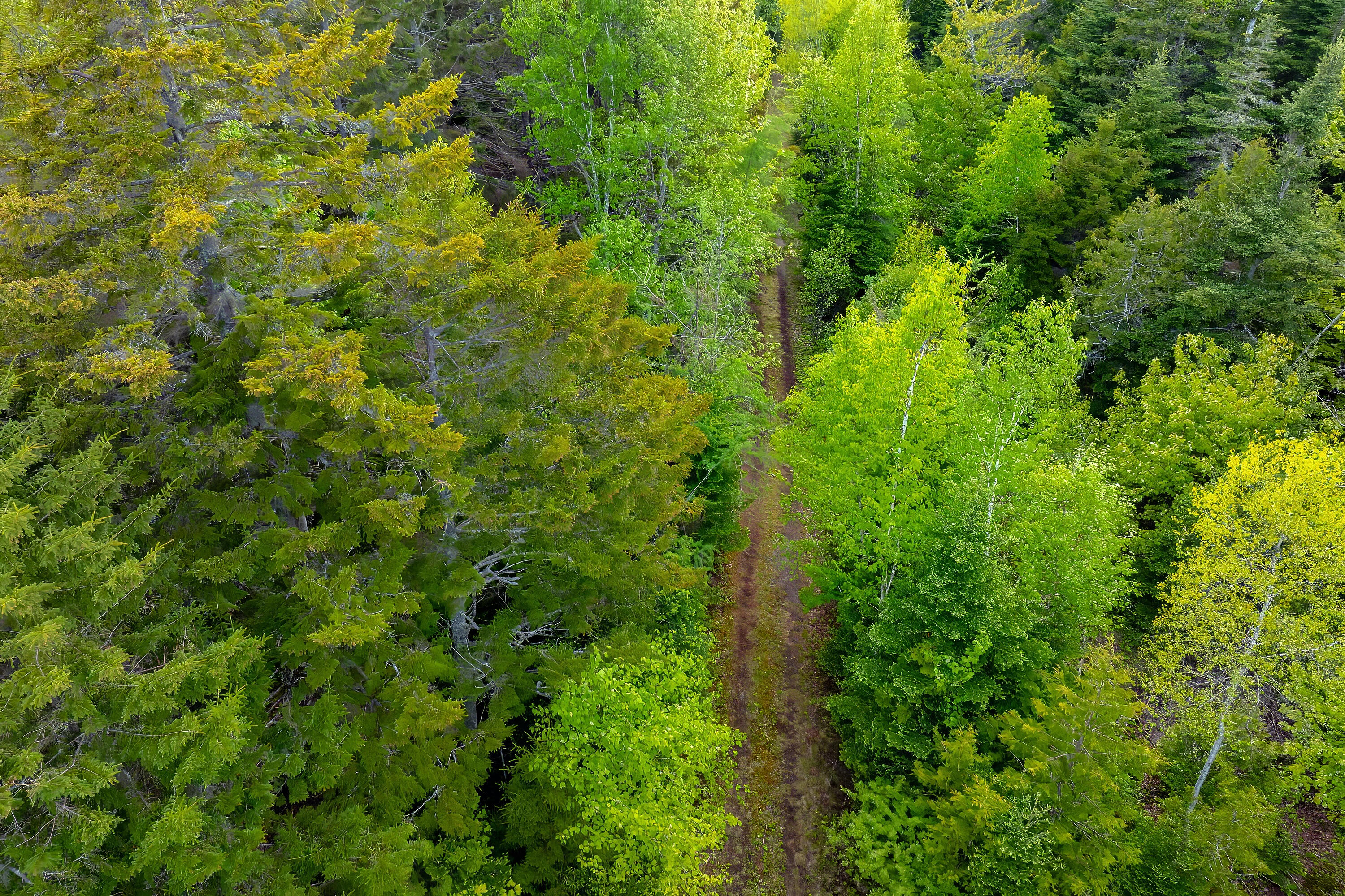 126 Point Street Columbia Falls ME 04623