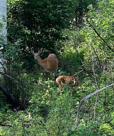 1594 Rangeley Road Phillips ME 04966