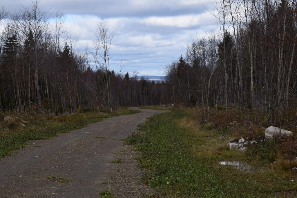 000 Route 2a & Sunrise Tree Road Forkstown Twp ME 04471