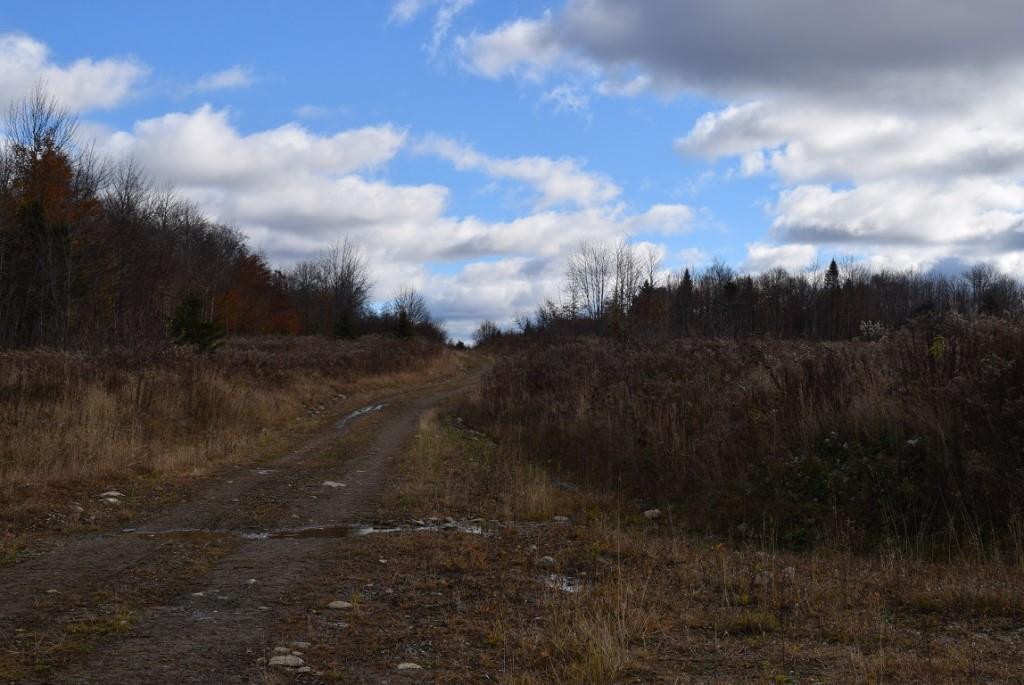000 Route 2a & Sunrise Tree Road Forkstown Twp ME 04471