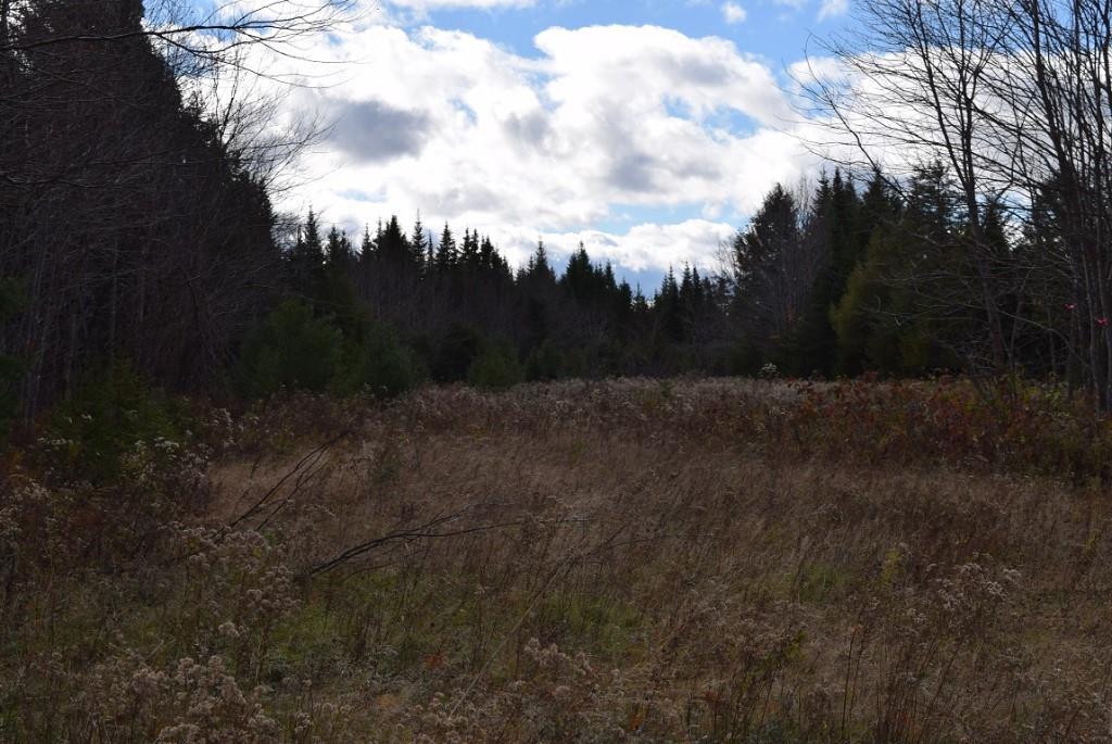 000 Route 2a & Sunrise Tree Road Forkstown Twp ME 04471