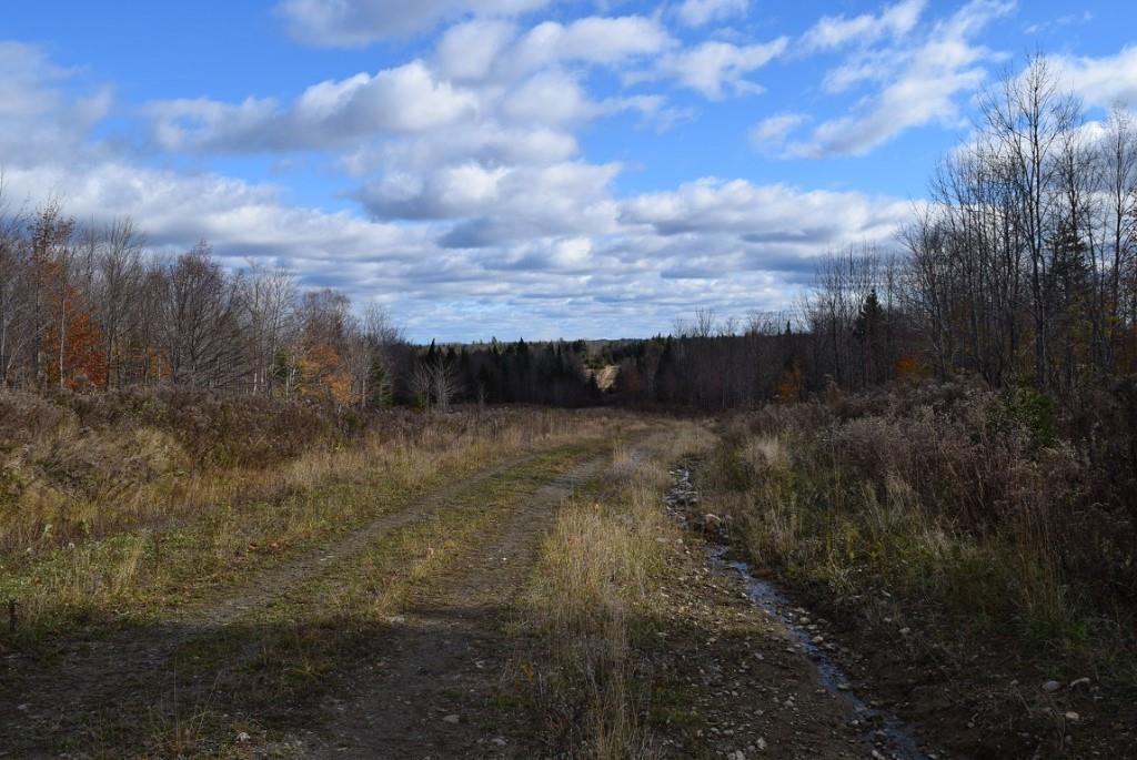 000 Route 2a & Sunrise Tree Road Forkstown Twp ME 04471