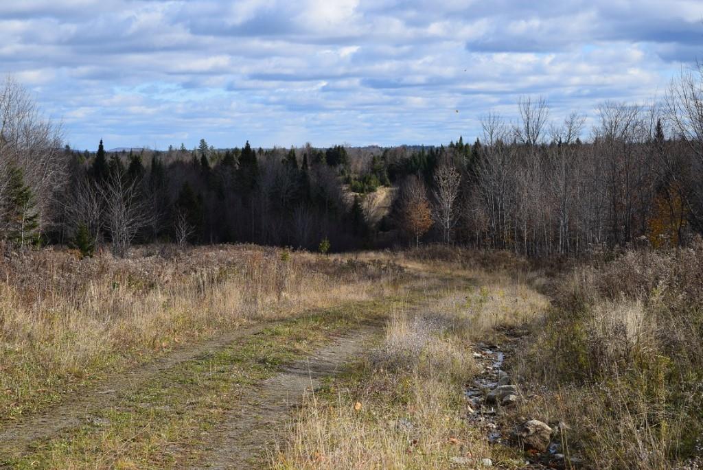 000 Route 2a & Sunrise Tree Road Forkstown Twp ME 04471