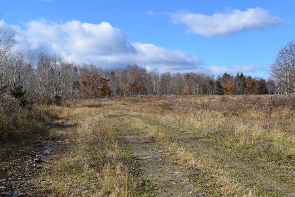 000 Route 2a & Sunrise Tree Road Forkstown Twp ME 04471