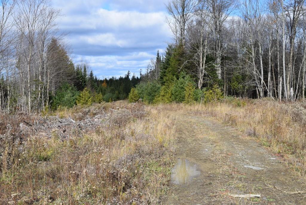 000 Route 2a & Sunrise Tree Road Forkstown Twp ME 04471
