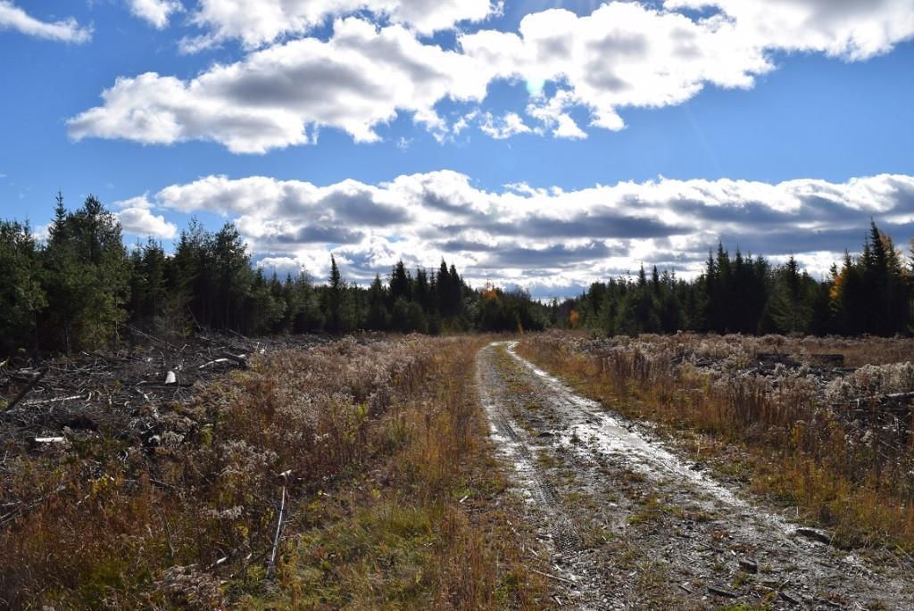 000 Route 2a & Sunrise Tree Road Forkstown Twp ME 04471