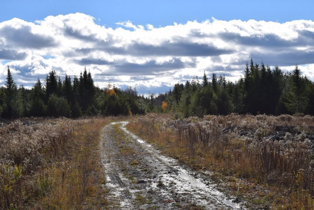 000 Route 2a & Sunrise Tree Road Forkstown Twp ME 04471