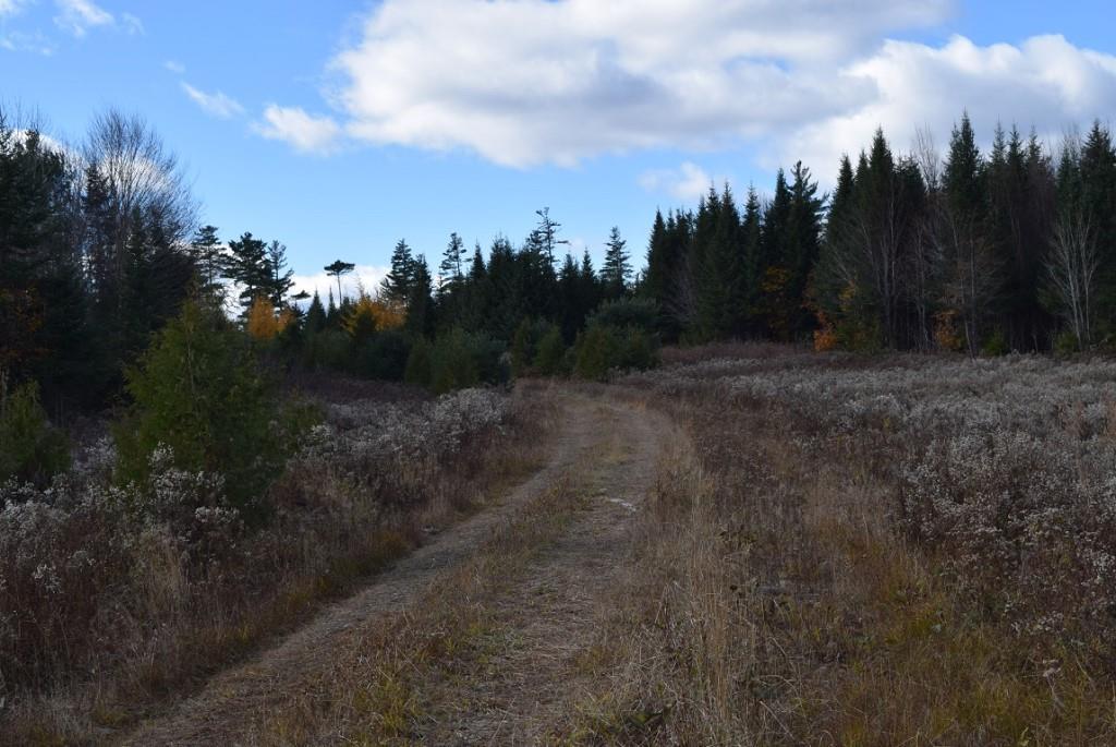 000 Route 2a & Sunrise Tree Road Forkstown Twp ME 04471