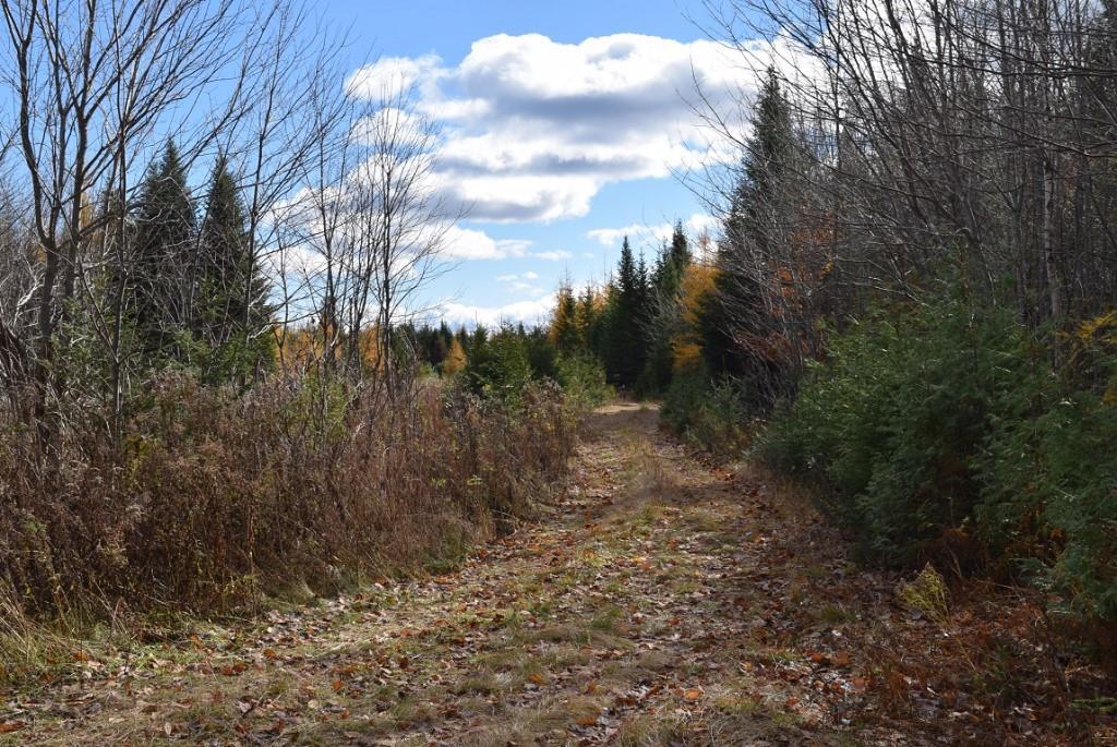 000 Route 2a & Sunrise Tree Road Forkstown Twp ME 04471