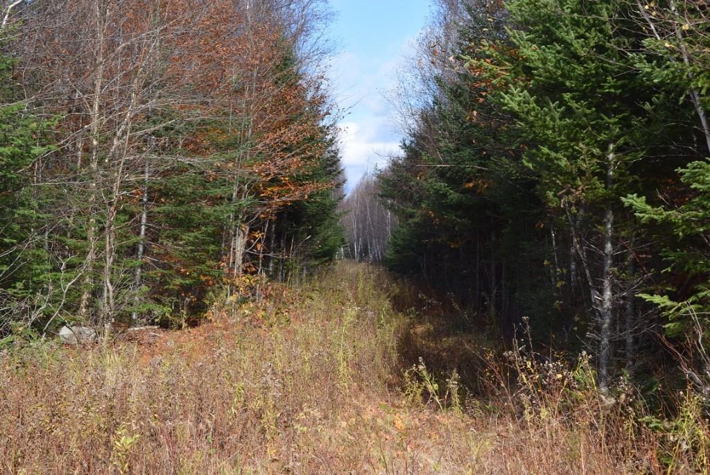 000 Route 2a & Sunrise Tree Road Forkstown Twp ME 04471