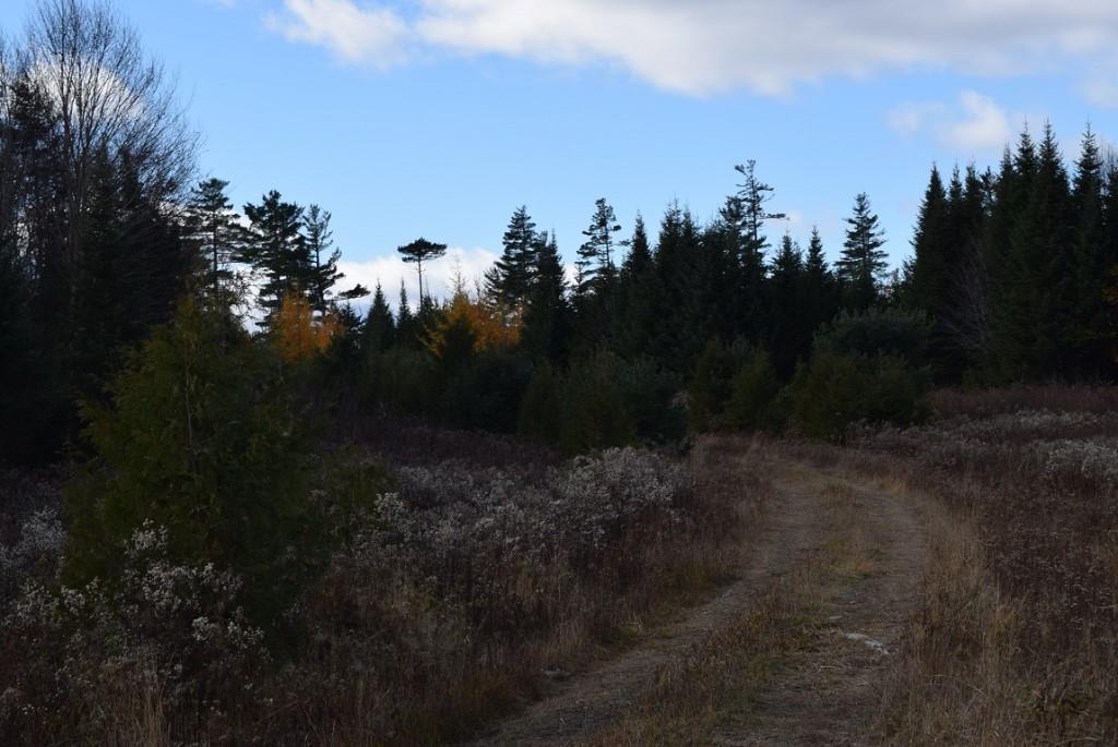 000 Route 2a & Sunrise Tree Road Forkstown Twp ME 04471