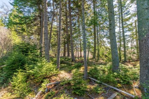 840 Cutler Rd. Road Machiasport ME 04655