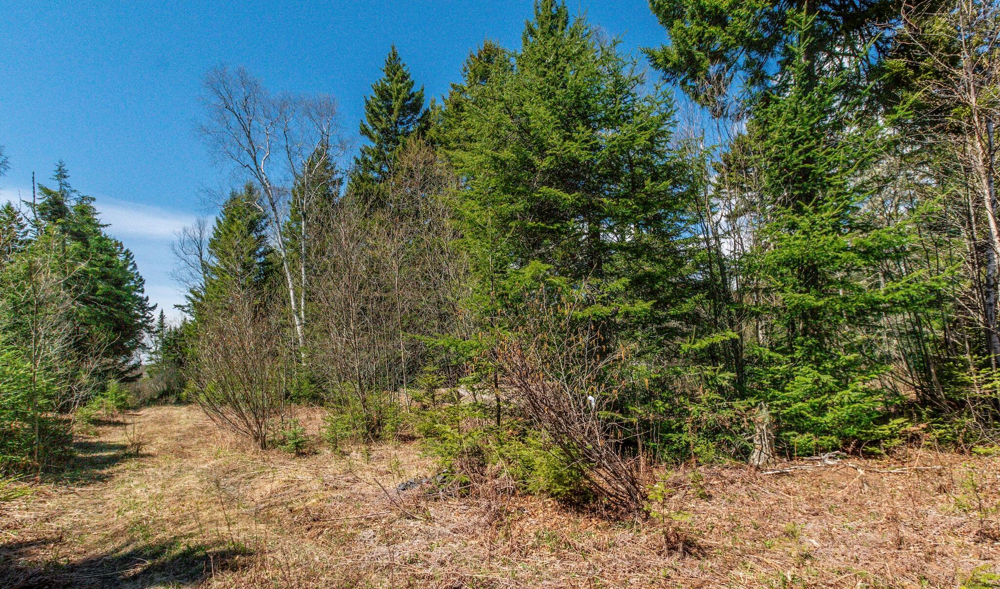 840 Cutler Rd. Road Machiasport ME 04655