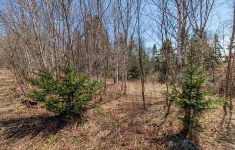 840 Cutler Rd. Road Machiasport ME 04655