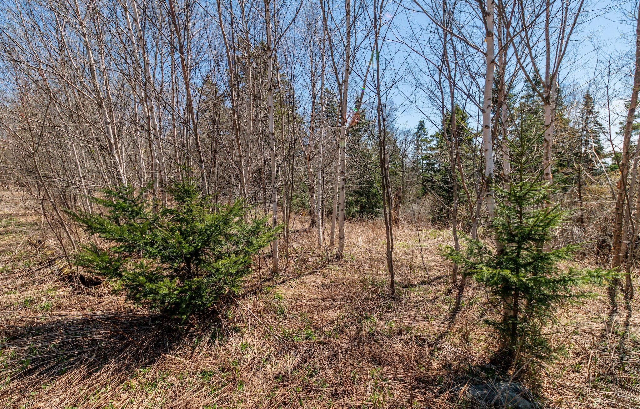 840 Cutler Rd. Road Machiasport ME 04655