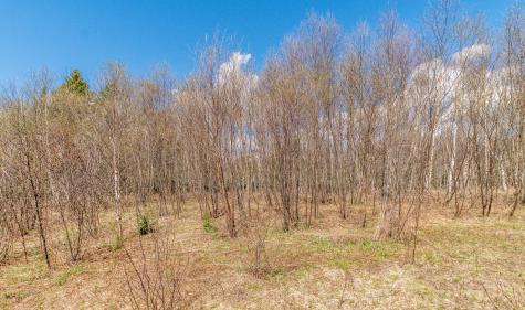840 Cutler Rd. Road Machiasport ME 04655