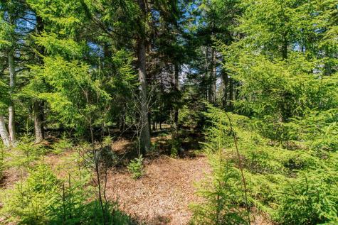 840 Cutler Rd. Road Machiasport ME 04655