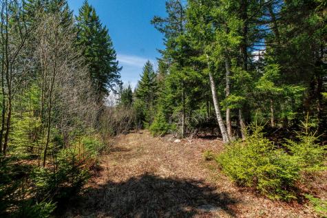 840 Cutler Rd. Road Machiasport ME 04655