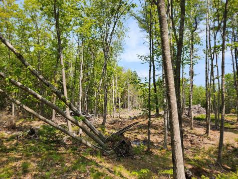 Lot 2 Woodland Drive Kennebunkport ME 04046