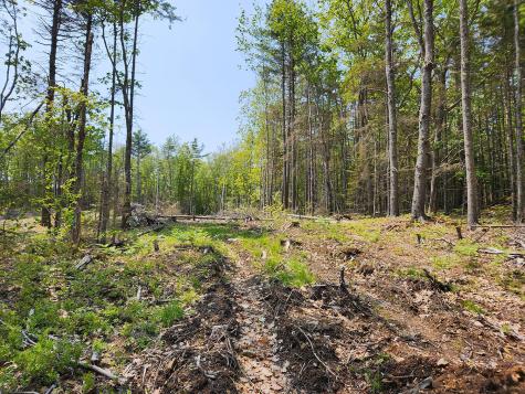 Lot 2 Woodland Drive Kennebunkport ME 04046