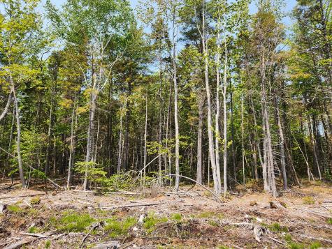 Lot 2 Woodland Drive Kennebunkport ME 04046