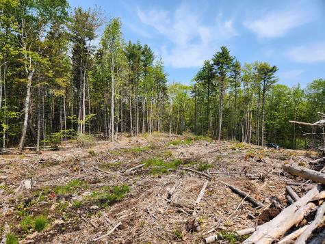 Lot 2 Woodland Drive Kennebunkport ME 04046