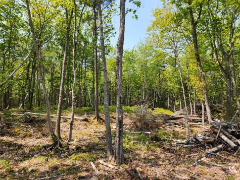 Lot 2 Woodland Drive Kennebunkport ME 04046