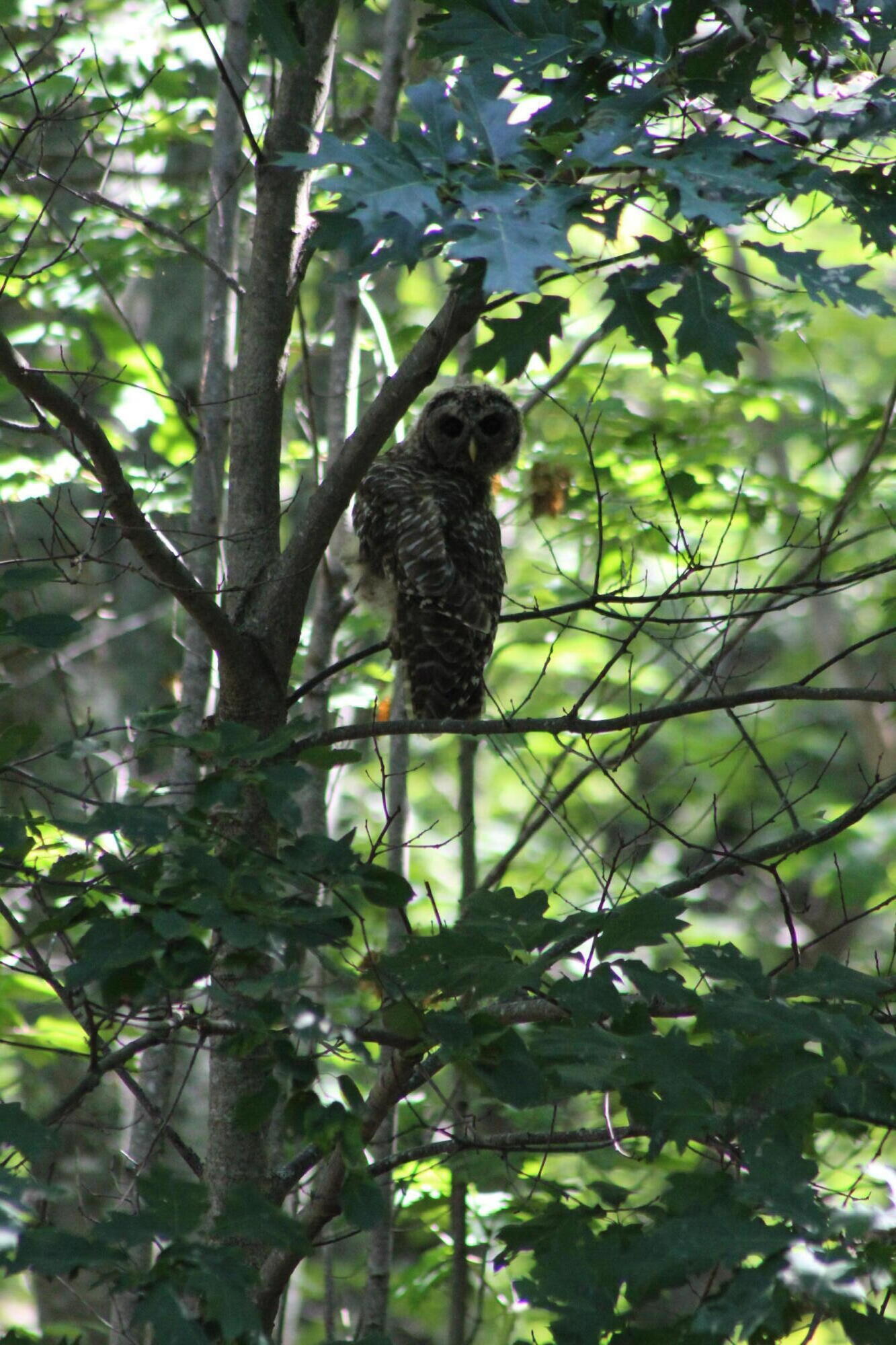 Lot 19/44 River Road Bucksport ME 04416