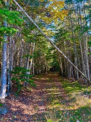 Lot 83 Johnson Lane Rangeley ME 04970