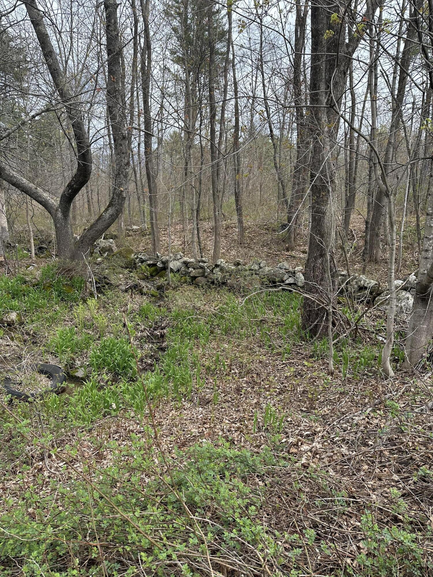 Lot #2 - 344 Moose Hill Road Livermore Falls ME 04254