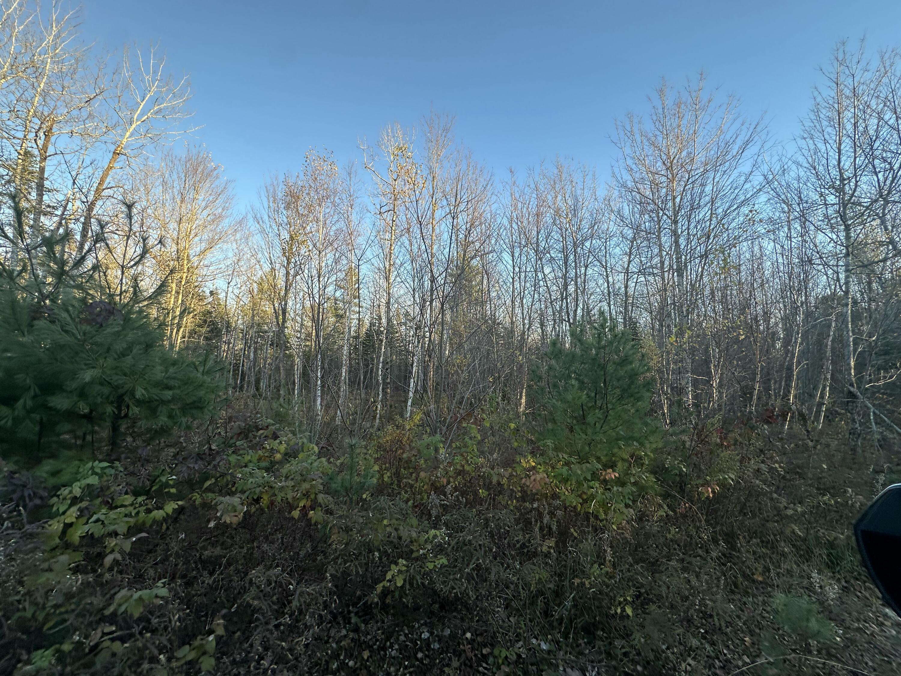 M10 L29a4 Miller Lane Surry ME 04684