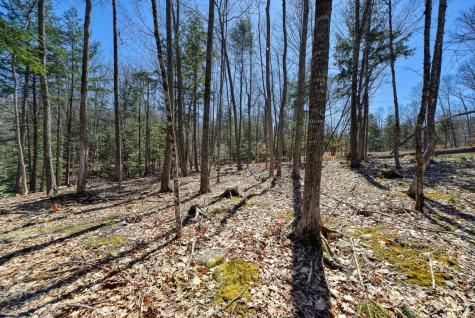 0 Route 9-126 Litchfield Drive Litchfield ME 04350