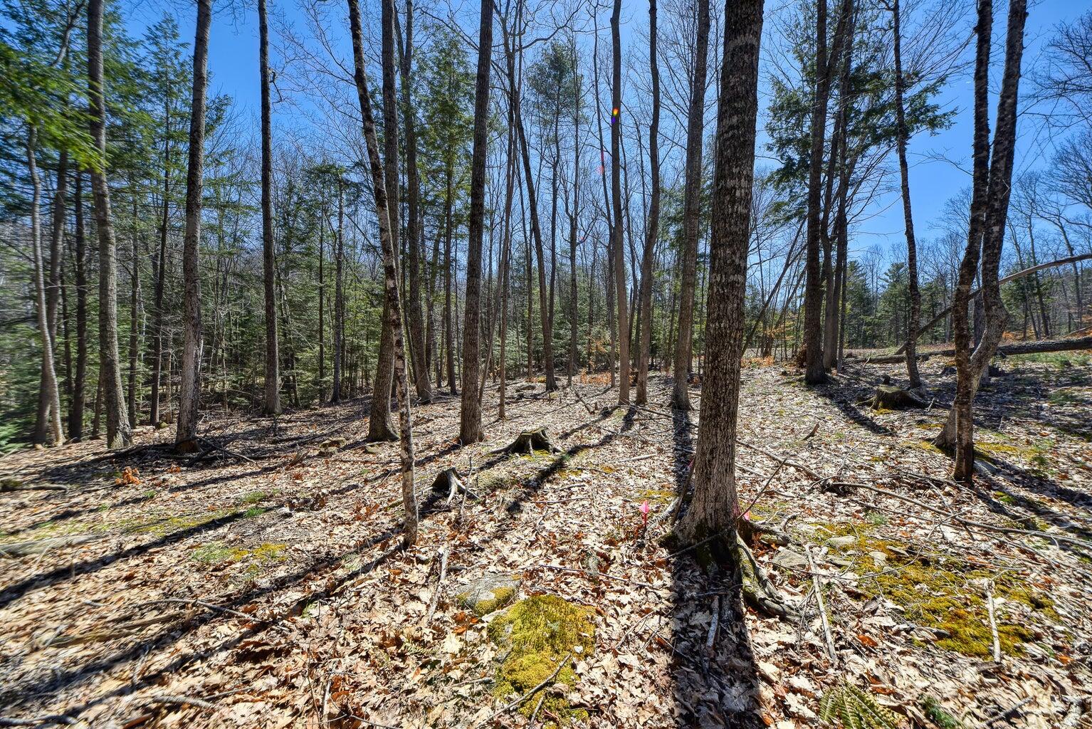 0 Route 9-126 Litchfield Drive Litchfield ME 04350