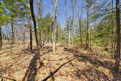 0 Route 9-126 Litchfield Drive Litchfield ME 04350