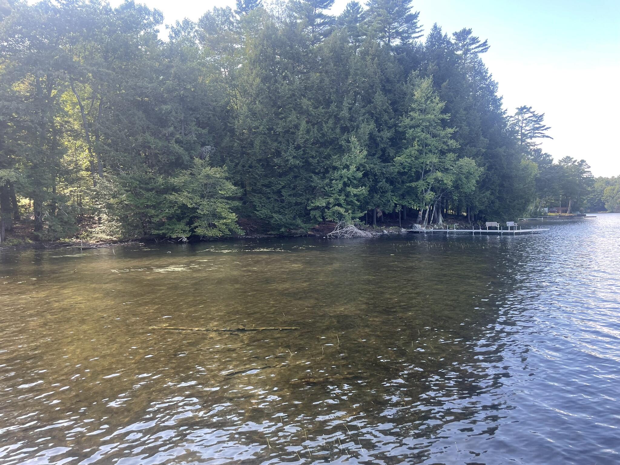 0 Route 9-126 Litchfield Drive Litchfield ME 04350