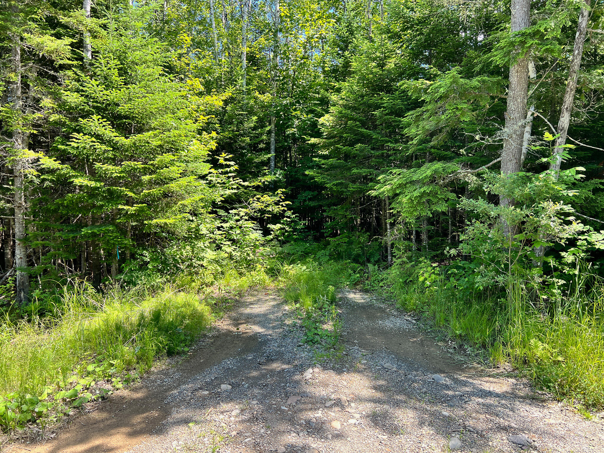 Lot 6 Woodland Ridge Road Danforth ME 04424
