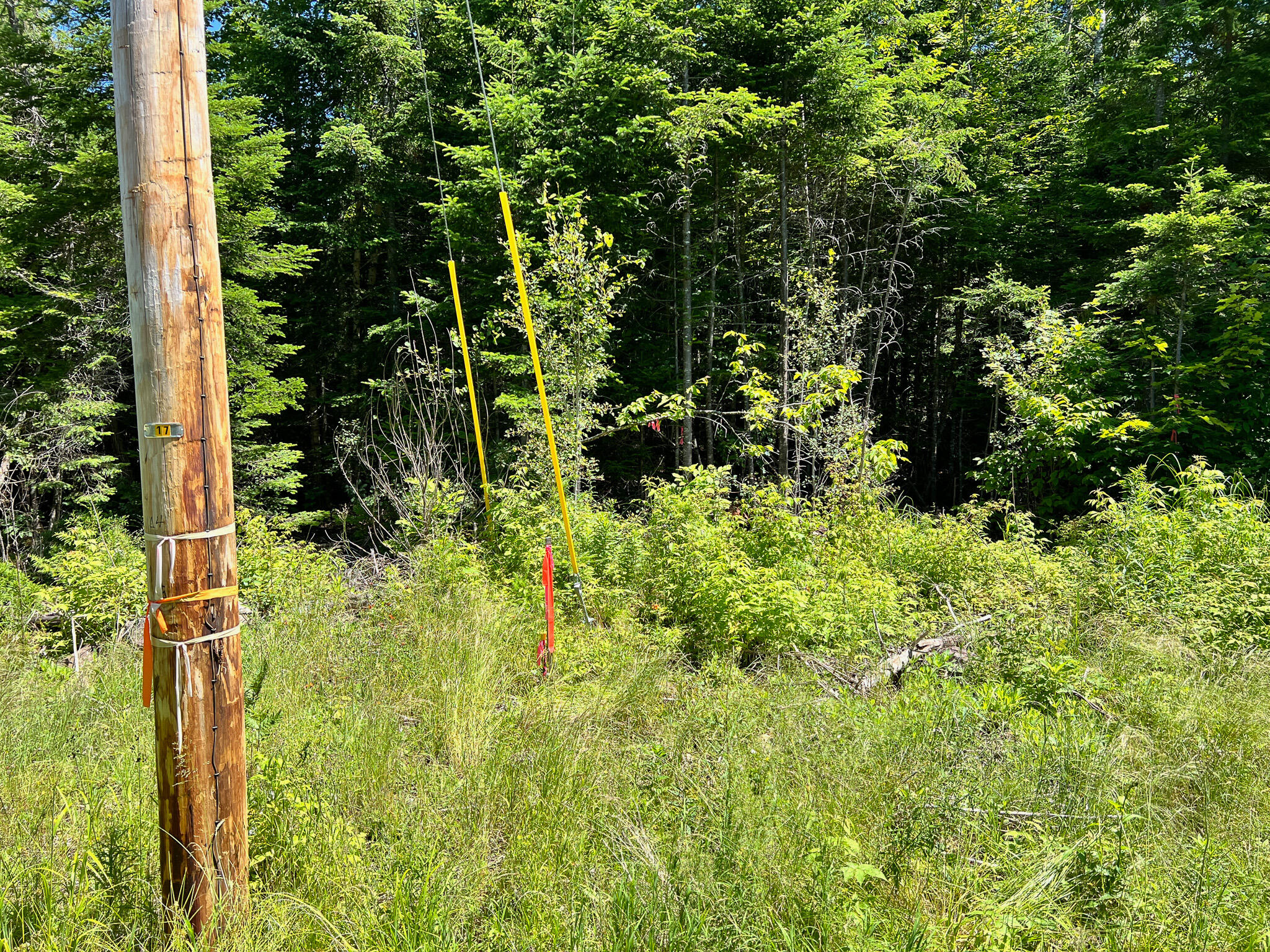 Lot 6 Woodland Ridge Road Danforth ME 04424
