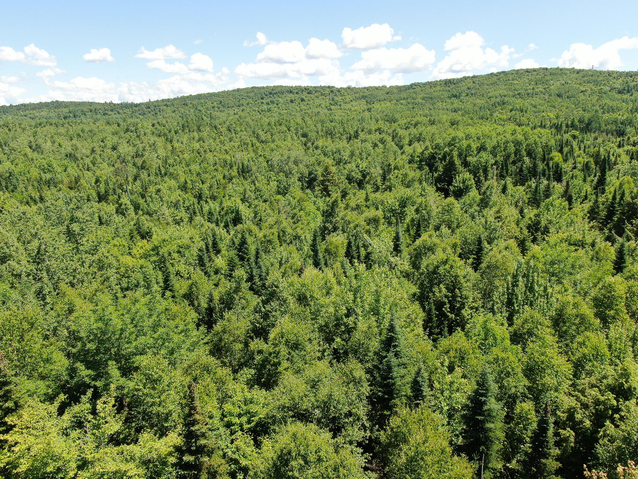 Lot 6 Woodland Ridge Road Danforth ME 04424
