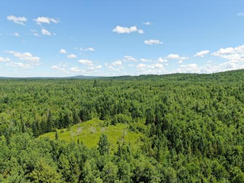 Lot 6 Woodland Ridge Road Danforth ME 04424